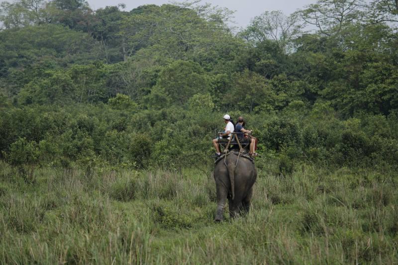 Wildlife Safari & Heli Tour at Chitwan National Park