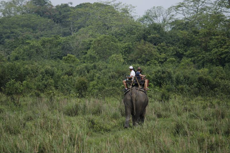 Wildlife Safari & Heli Tour at Chitwan National Park
